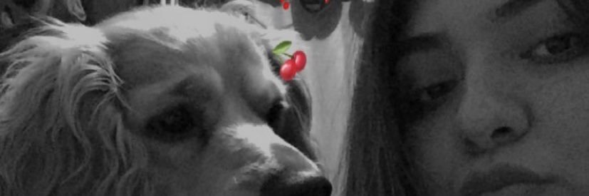 ispaooo's profile banner image