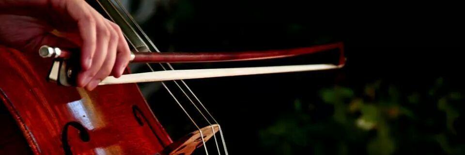 Tere__Gutierrez's profile banner image