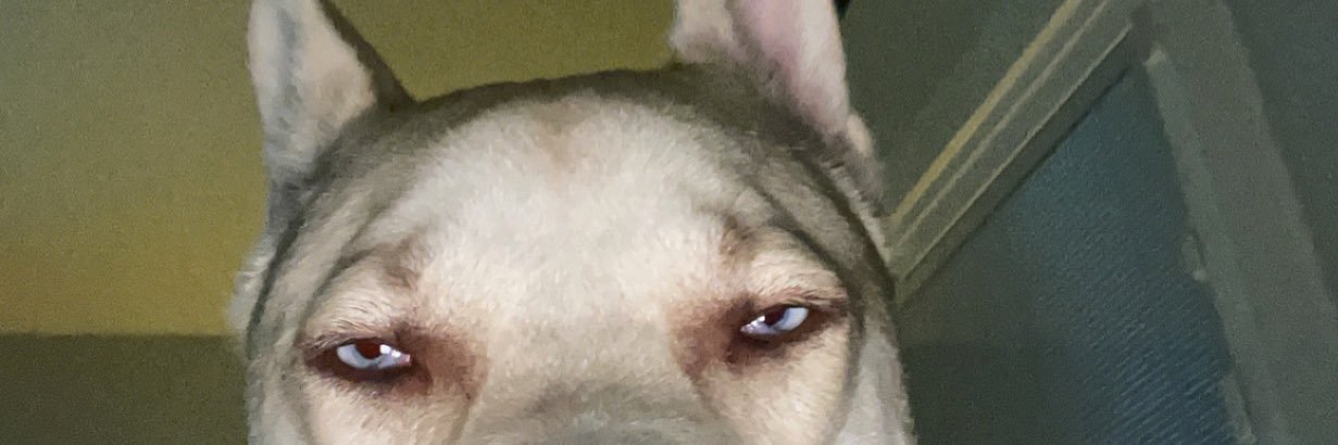 wutitizzz's profile banner image