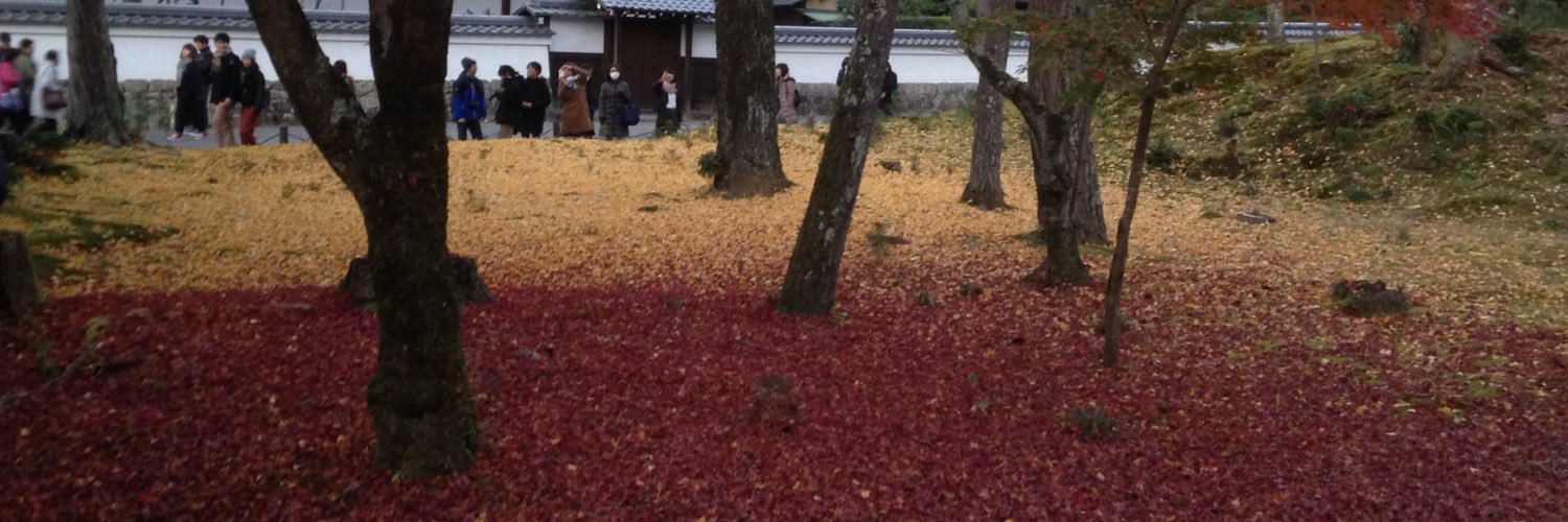 GreyFoxOverlord banner