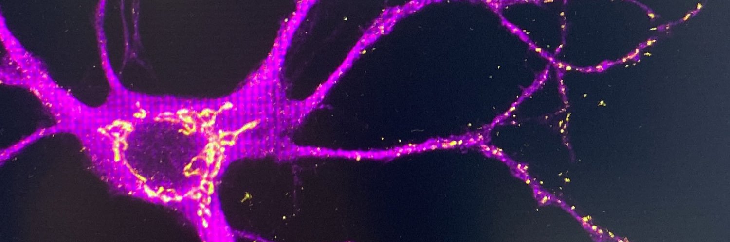 Dr Merja Joensuu 🇫🇮🇦🇺 banner