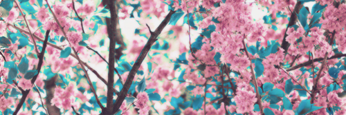 K_lob12's profile banner image