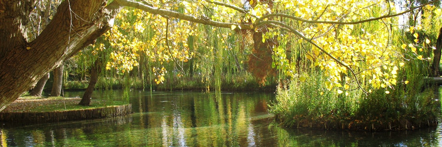 Felonius Antonius banner