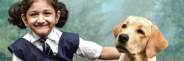 AdityaNule's profile banner image