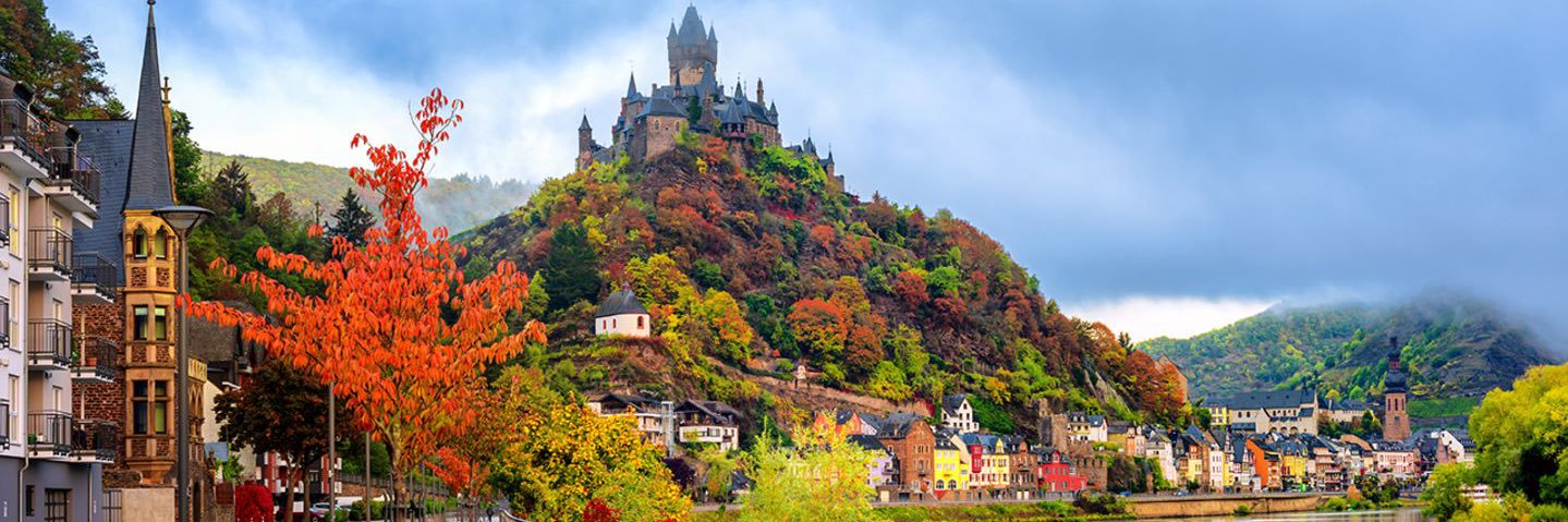 Markus Sprungk banner