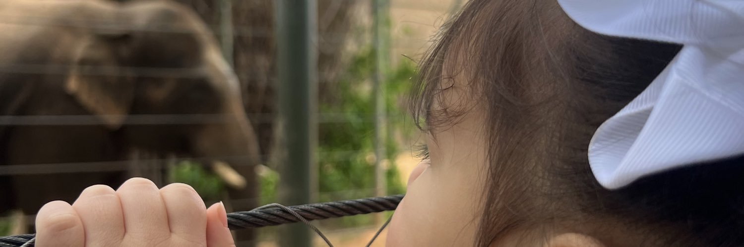 pitaagarza's profile banner image