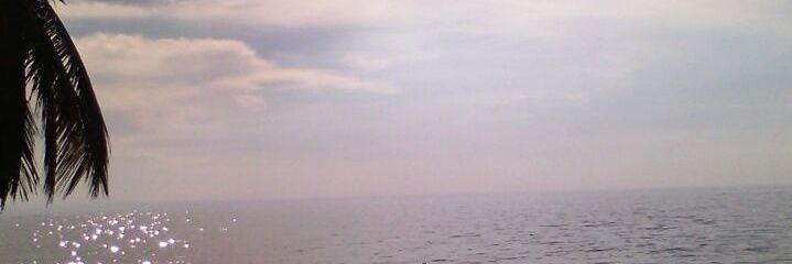 lbmadrid's profile banner image