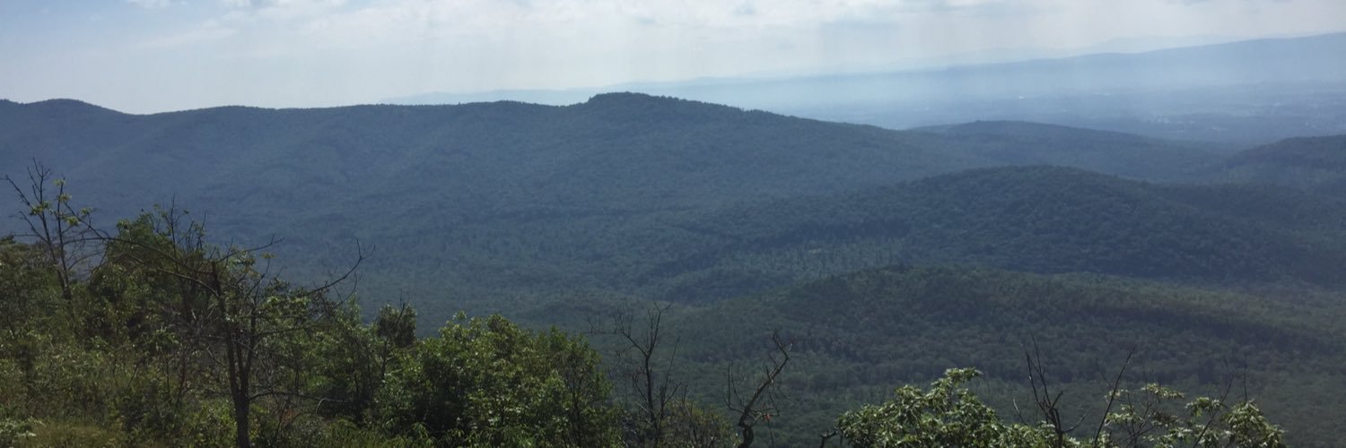 DManTheRock's profile banner image