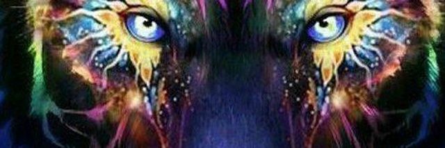 Omer Edris banner