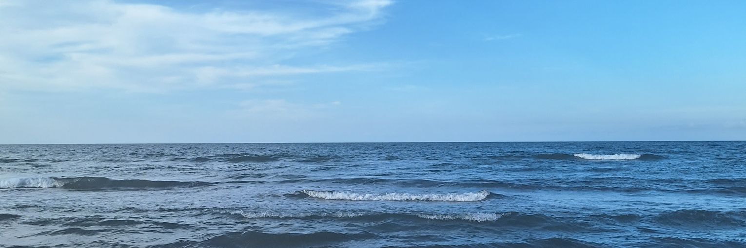 BettyEme banner