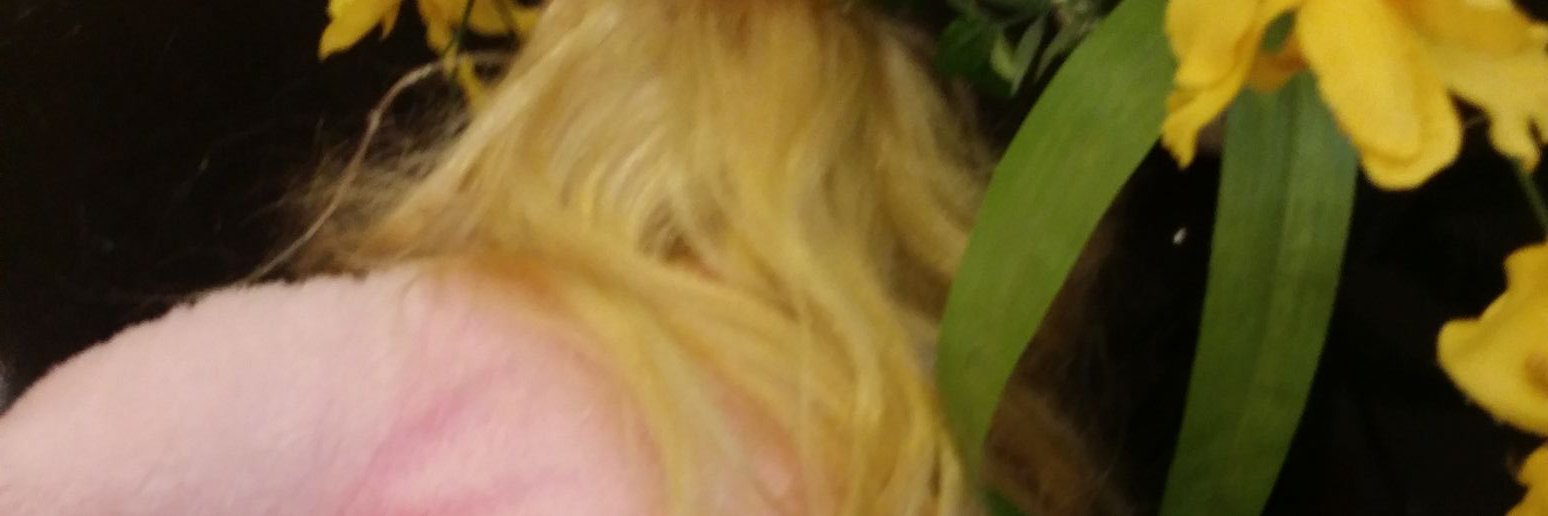Com12soso's profile banner image