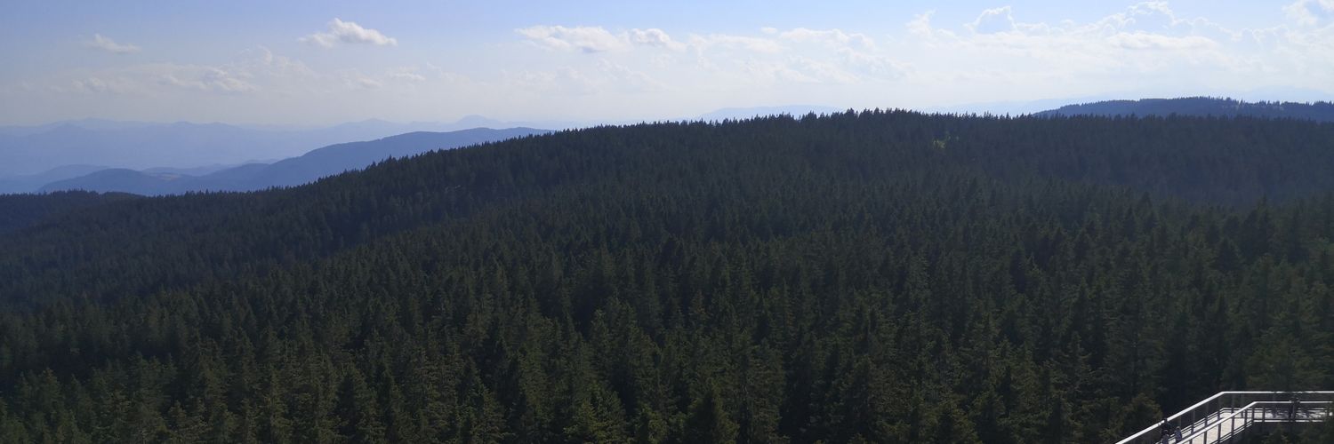 abel6878's profile banner image