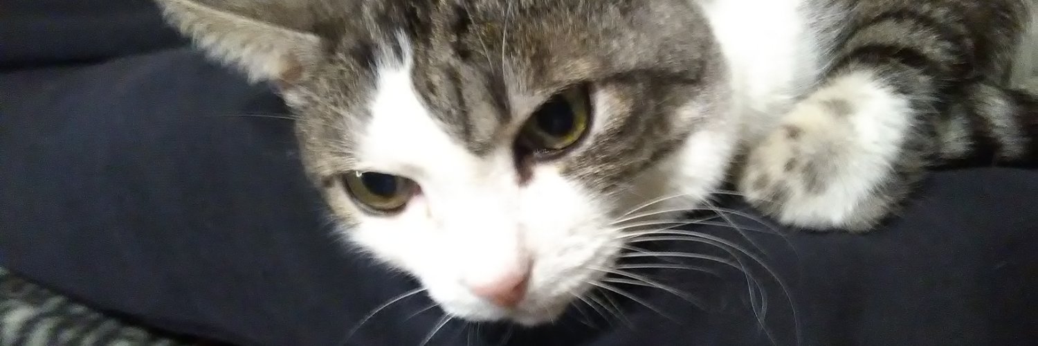 fer2200's profile banner image