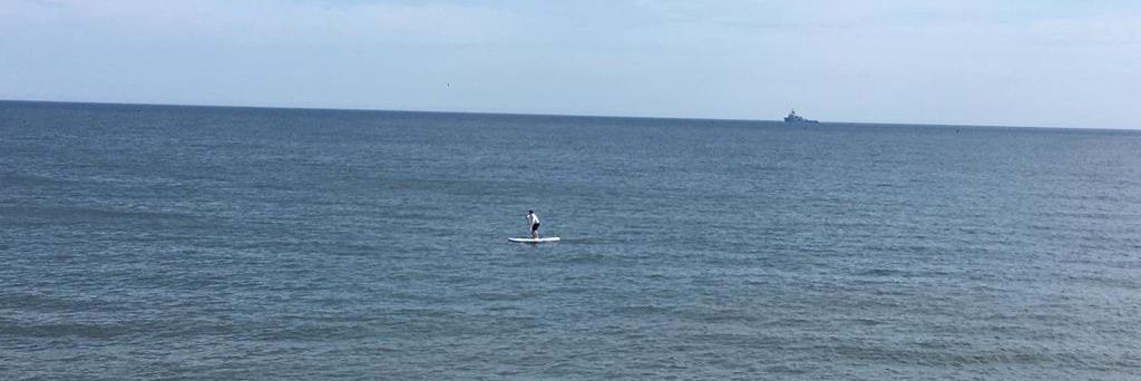 Ritchie Nicholls banner