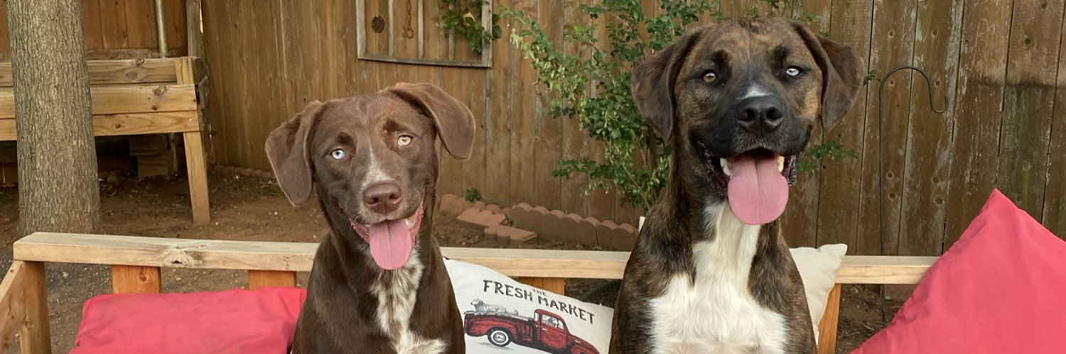 Isaac Salazar banner