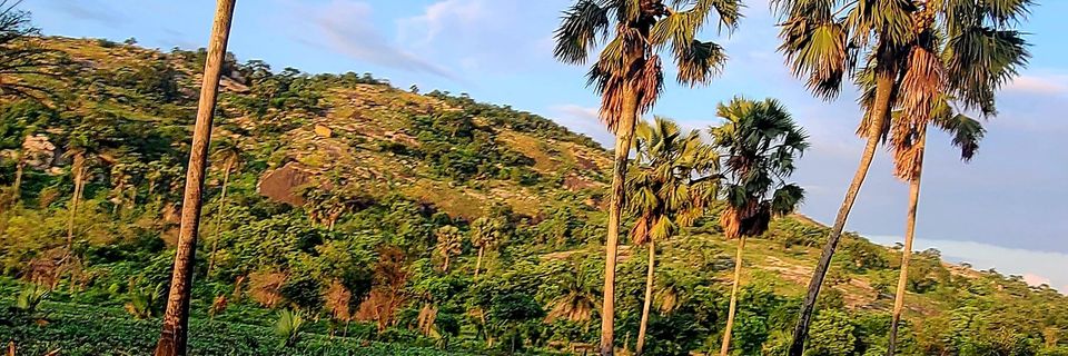 Unrudely_Smart banner