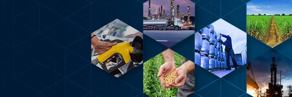 ANPgovbr Profile Banner