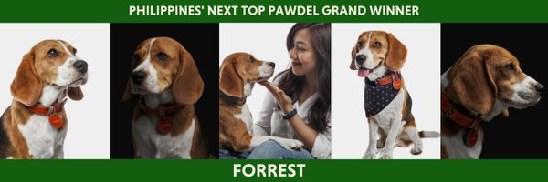 PawdelPH Profile Banner