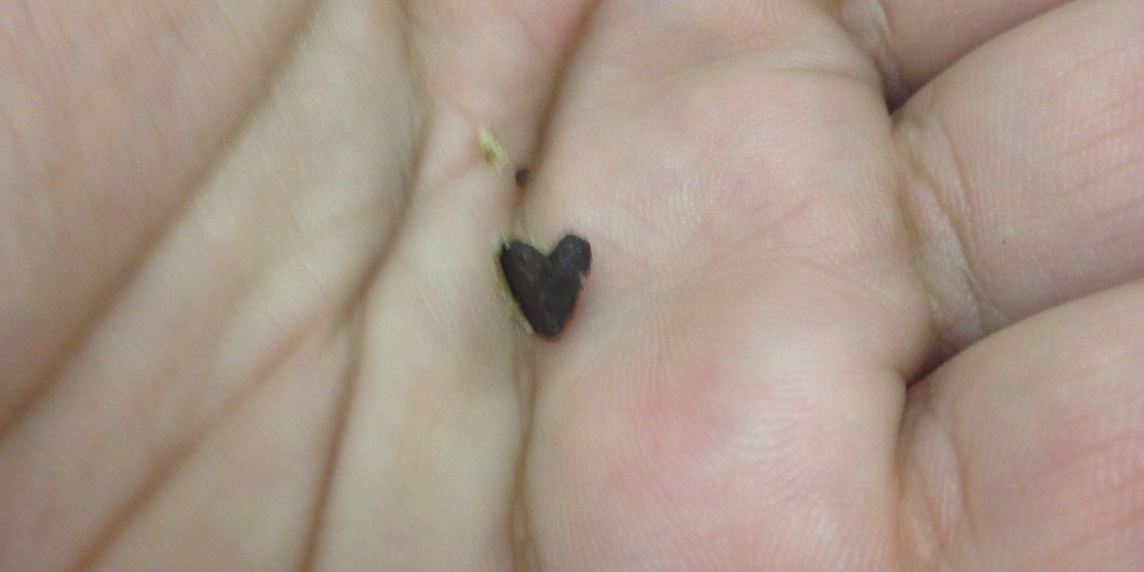 jonathan jimenez banner