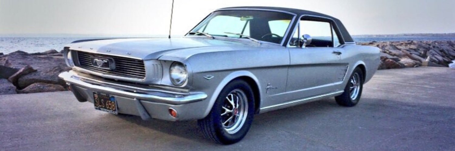 Fuzzy 🇺🇸 banner