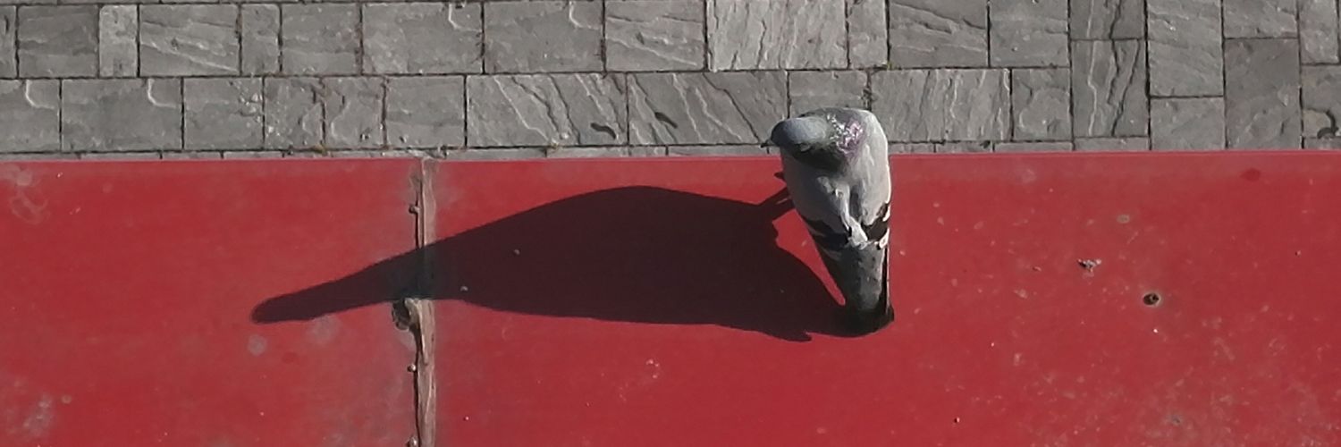 AlexElvisMoraru's profile banner image