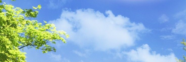 OhMyPain1's profile banner image