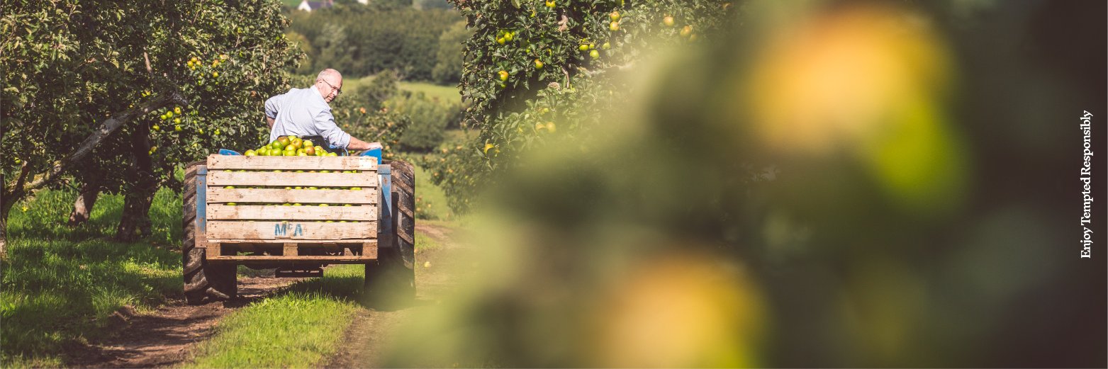 Tempted Cider banner