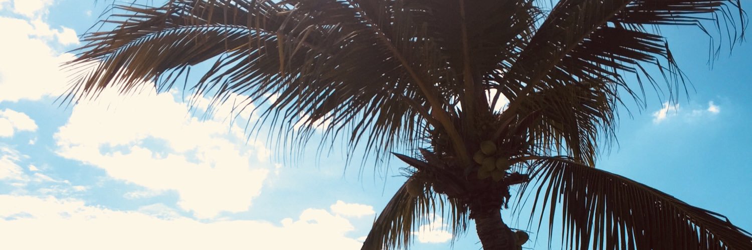 Future Lawyer's GF banner