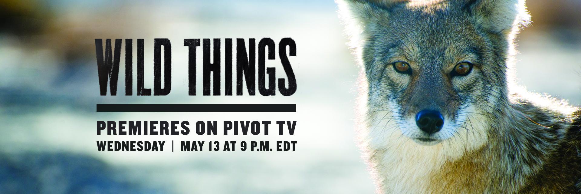 Wild Things banner