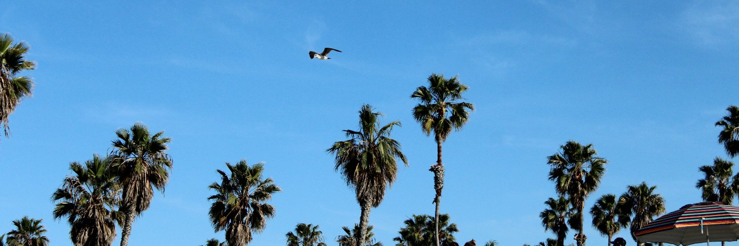 surfersick's profile banner image