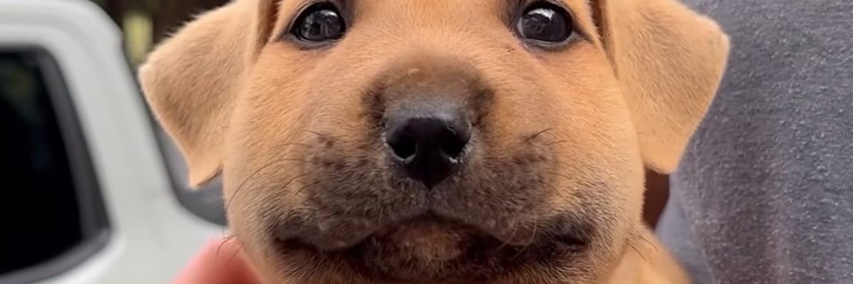 rapadapdap's profile banner image