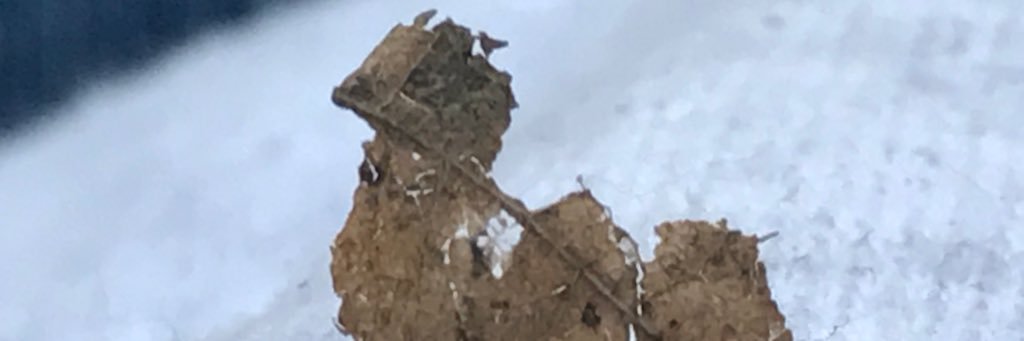 digitalwarr's profile banner image