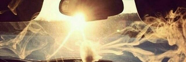Sololobo11's profile banner image