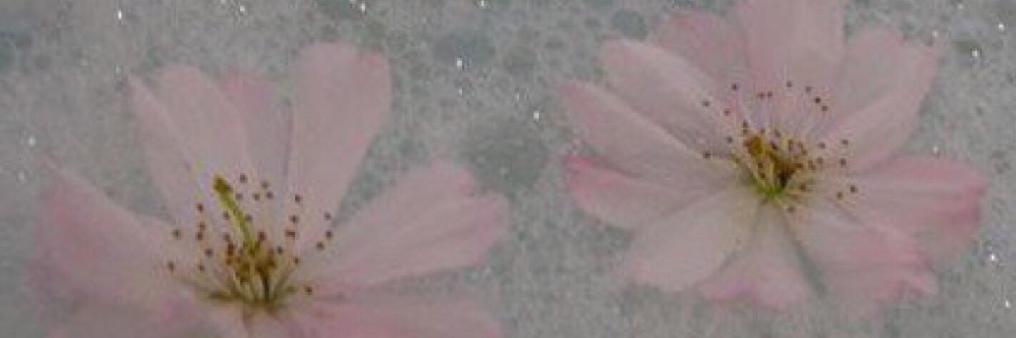 castawaykenma's profile banner image