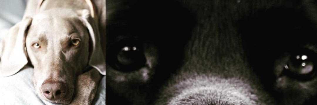 jcfajardop's profile banner image