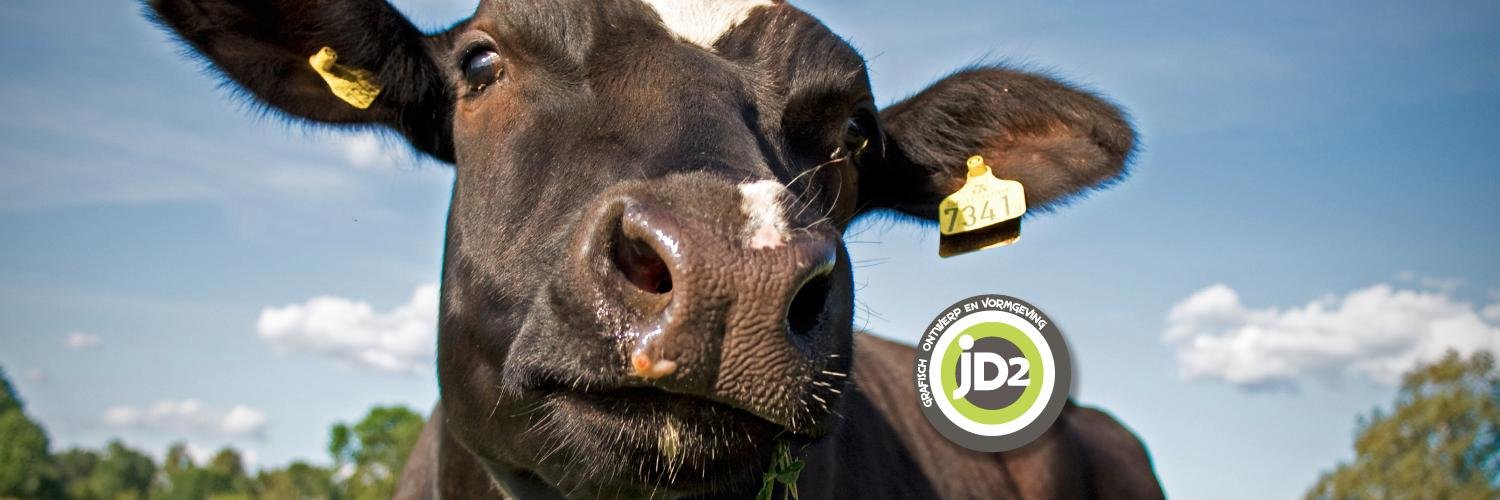 JeeDeeTwee's profile banner image