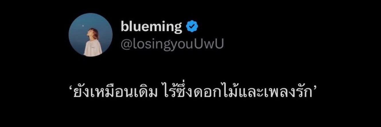 wanwhale_d's profile banner image