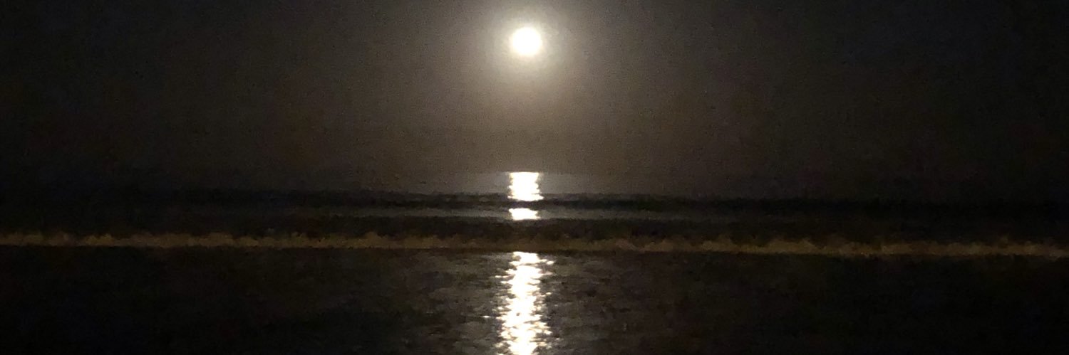 SergioAlbarracin. banner