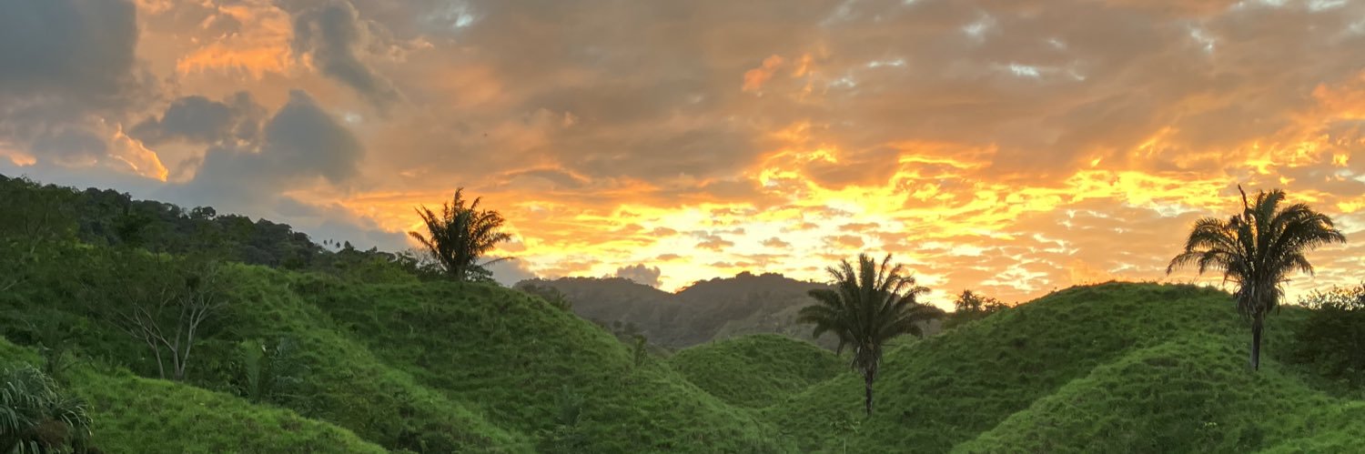 lfreyrea's profile banner image