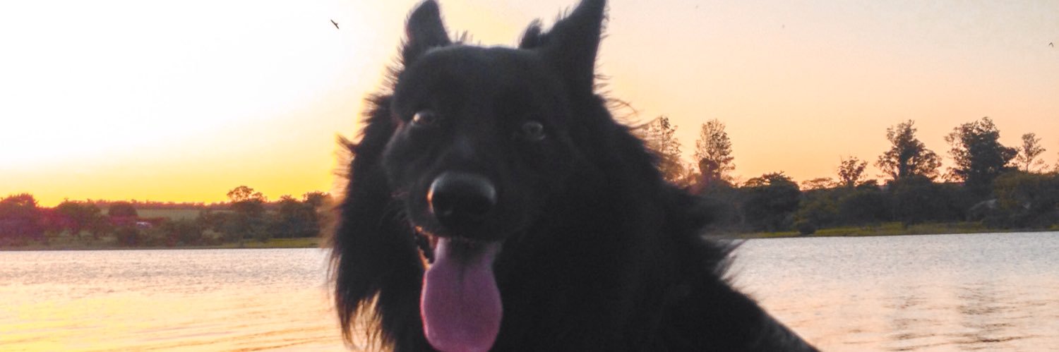 falo qualquer coisa banner