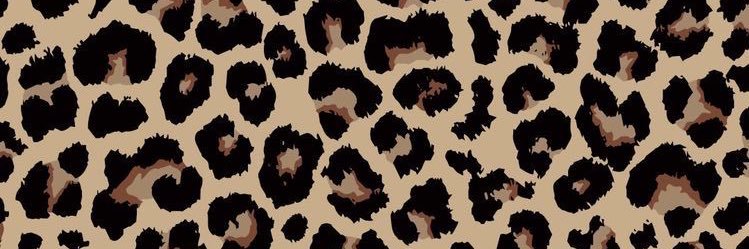 mrluizax's profile banner image