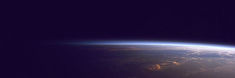 Tobias Maximus banner