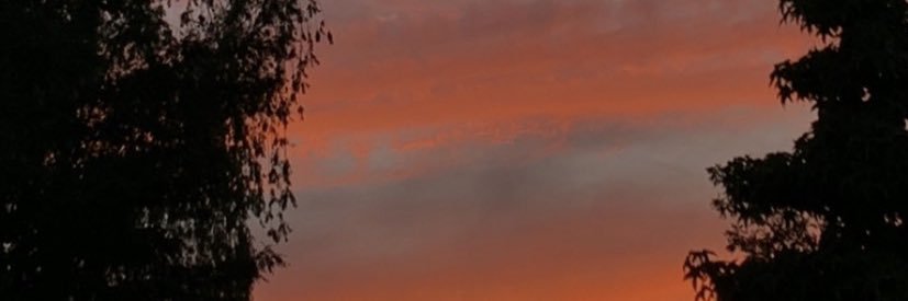 nattaliasz_'s profile banner image