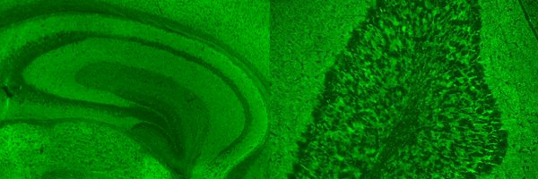 adrianbudhram1 Profile Banner