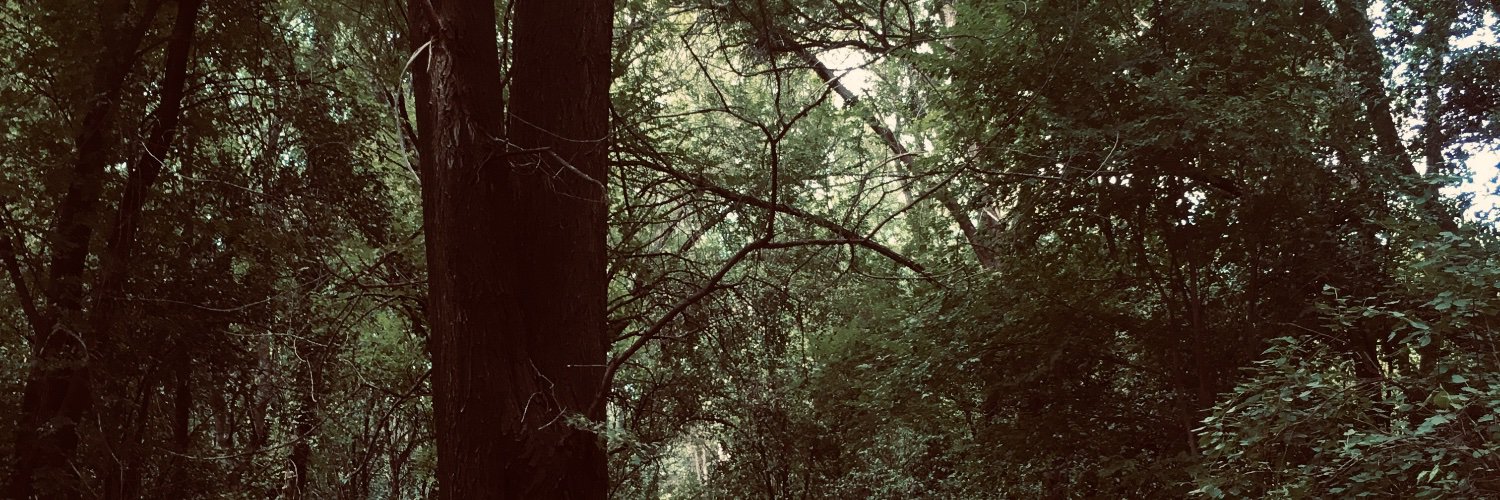 MoiraJuarez8's profile banner image