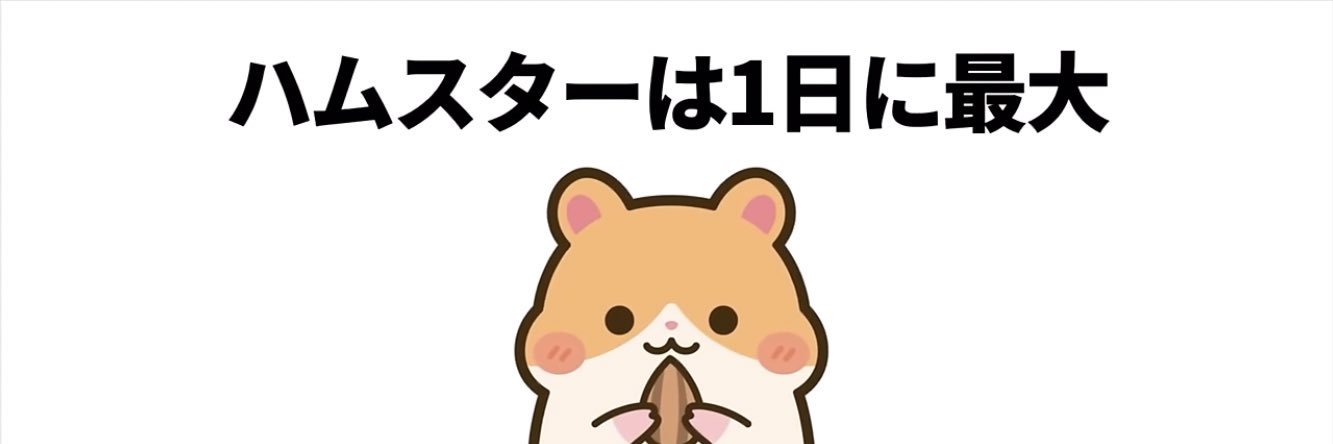 猫さんにゃーにゃー banner