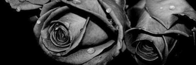 ProThorn10's profile banner image