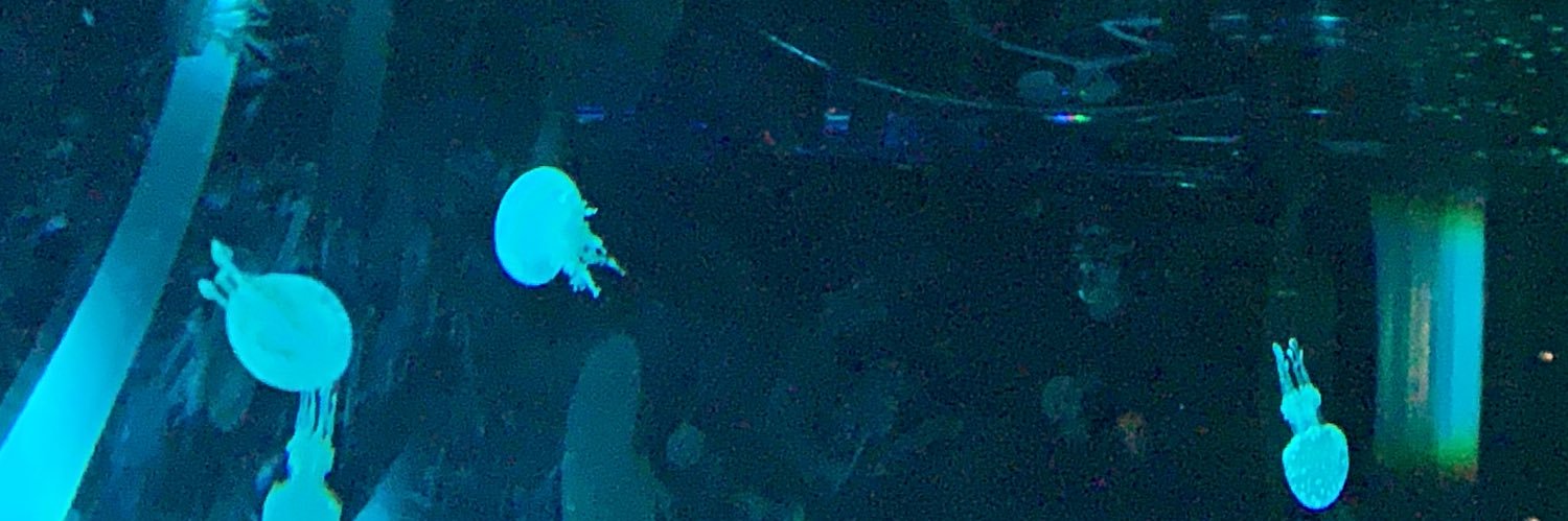 siCGisi's profile banner image