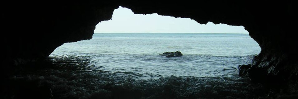 Stuart Basson banner