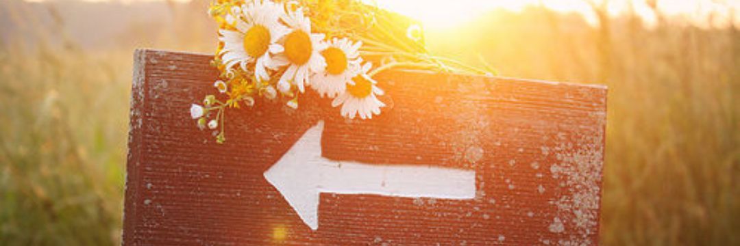 mrvgbkn's profile banner image